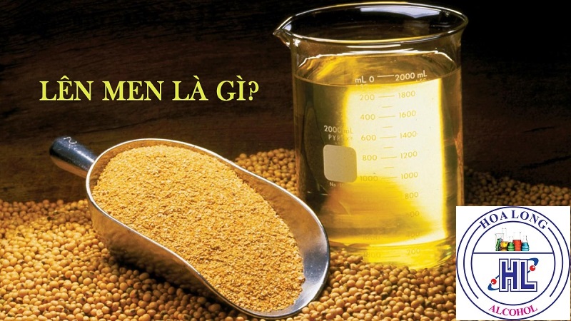 ỨNG DỤNG CỤ THỂ CỦA ETHANOL TRONG SẢN XUẤT NƯỚC GIẢI KHÁT